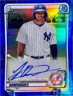 Jasson Dominguez