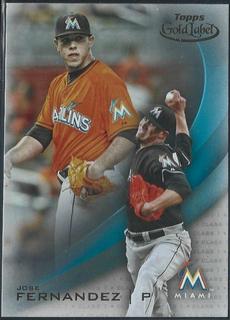 Jose Fernandez