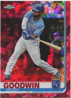 Brian Goodwin