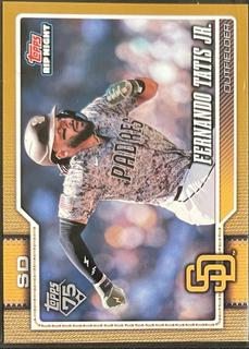 Fernando Tatis Jr.