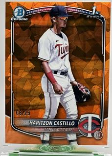 Haritzon Castillo