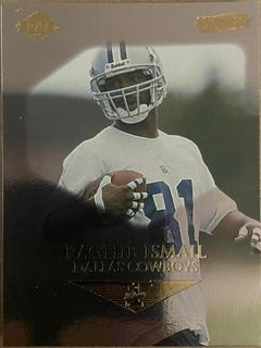 Raghib Ismail