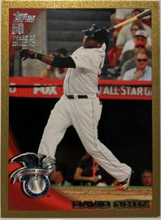 David Ortiz