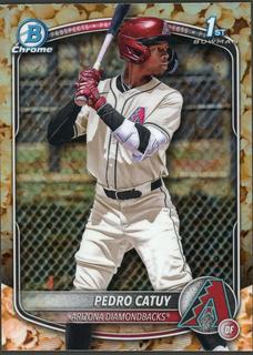 Pedro Catuy