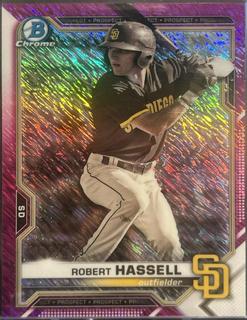 Robert Hassell