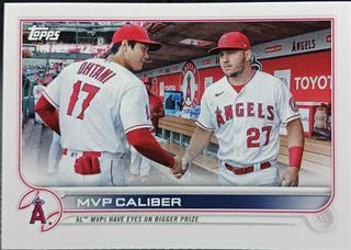 Mike Trout / Shohei Ohtani