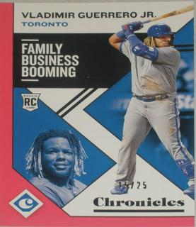 Vladimir Guerrero Jr.
