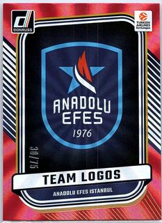 Anadolu Efes Istanbul