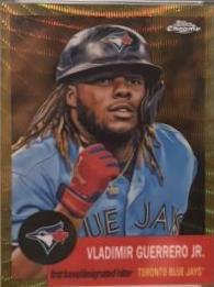 Vladimir Guerrero Jr.