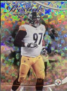 Cameron Heyward