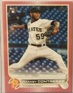 Roansy Contreras