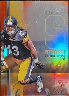 Troy Polamalu