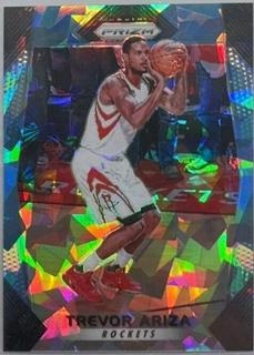 Trevor Ariza