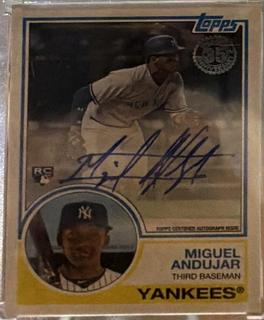 Miguel Andujar