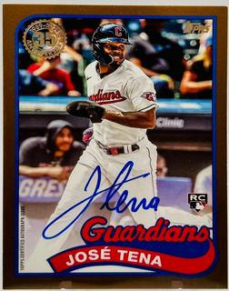 Jose Tena