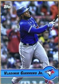 Vladimir Guerrero