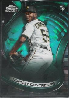 Roansy Contreras
