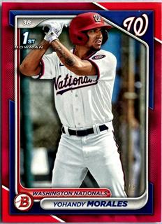 Yohandy Morales