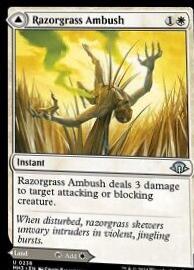 Razorgrass Ambush // Razorgrass Field