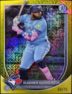 Vladimir Guerrero Jr.