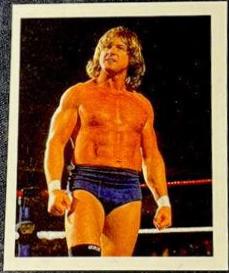 Roddy Piper #255 Wrestling Cards 1992 Merlin WWF Stickers