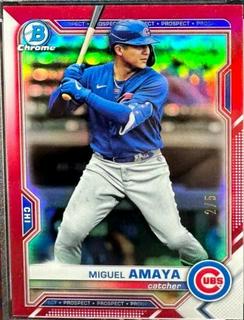 Miguel Amaya