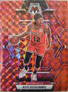 Ayo Dosunmu