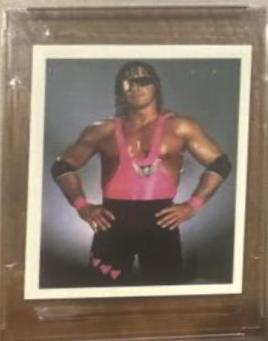 Bret Hart #34 Wrestling Cards 1992 Merlin WWF Stickers