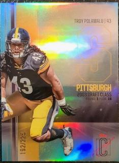 Troy Polamalu