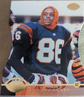 Darnay Scott