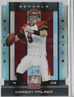 Carson Palmer