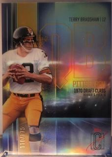 Terry Bradshaw