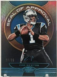 Cam Newton