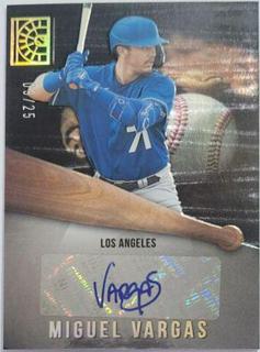 Miguel Vargas