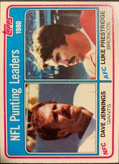 1980 Punting Leaders