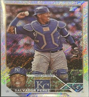 Salvador Perez
