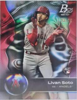 Livan Soto