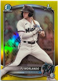 PJ Morlando