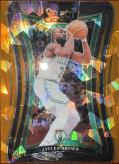 Jaylen Brown