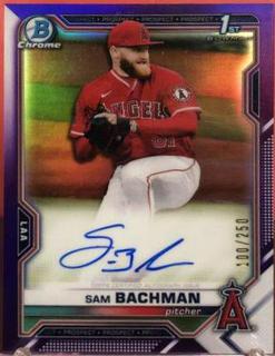 Sam Bachman