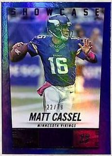 Matt Cassel