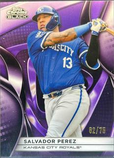 Salvador Perez