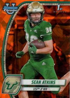 Sean Atkins
