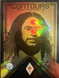 Troy Polamalu