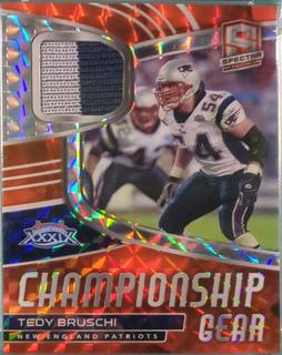 Tedy Bruschi