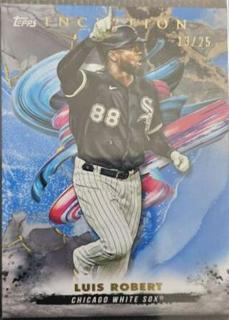 Luis Robert