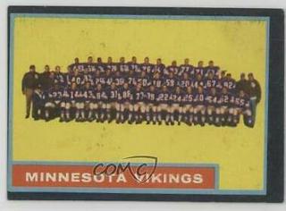Vikings Team