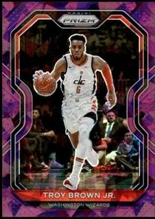 Troy Brown Jr.