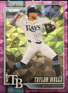 Taylor Walls