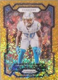 Asante Samuel Jr.